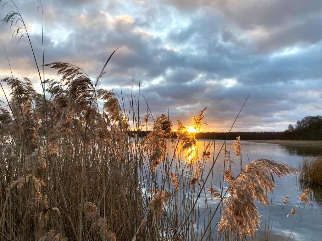 Ferienhaus Direkt Am See Uckermark 滕普林 外观 照片