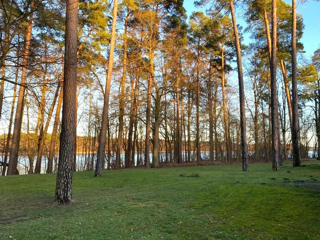 Ferienhaus Direkt Am See Uckermark 滕普林 外观 照片